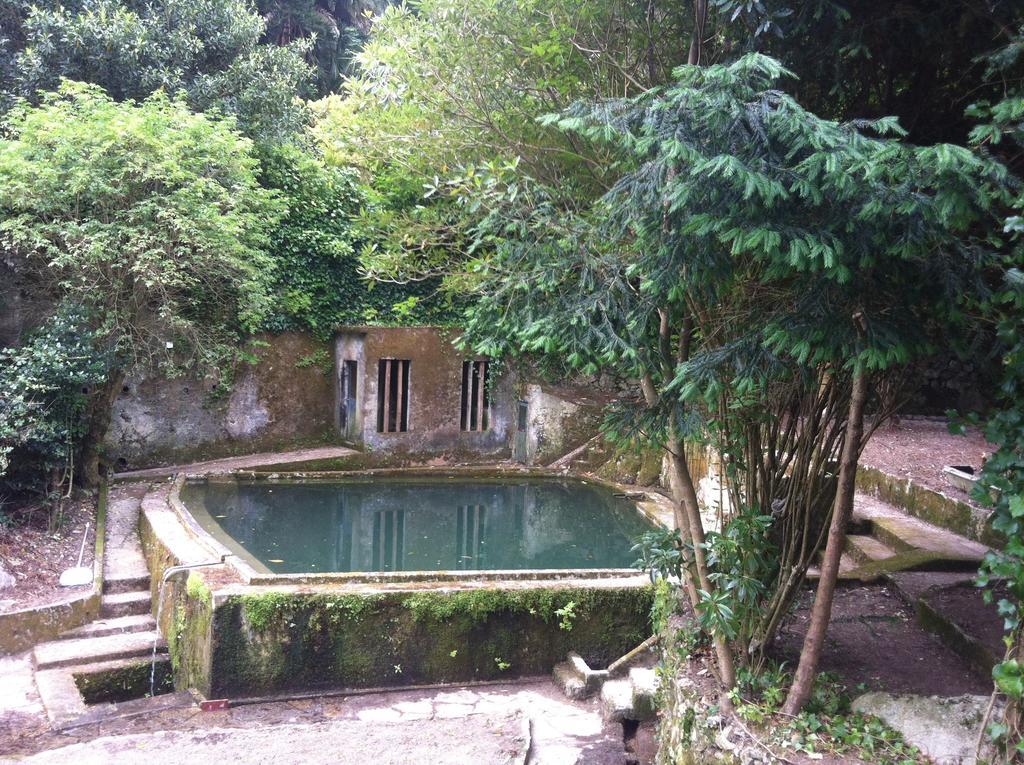Quinta Do Castanheiro Hotell Sintra Eksteriør bilde